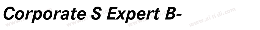 Corporate S Expert B字体转换